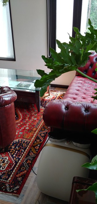 ペルシャ更紗 | ペルシャ絨毯直輸入専門店 タクテジャムシッドカーペットギャラリー